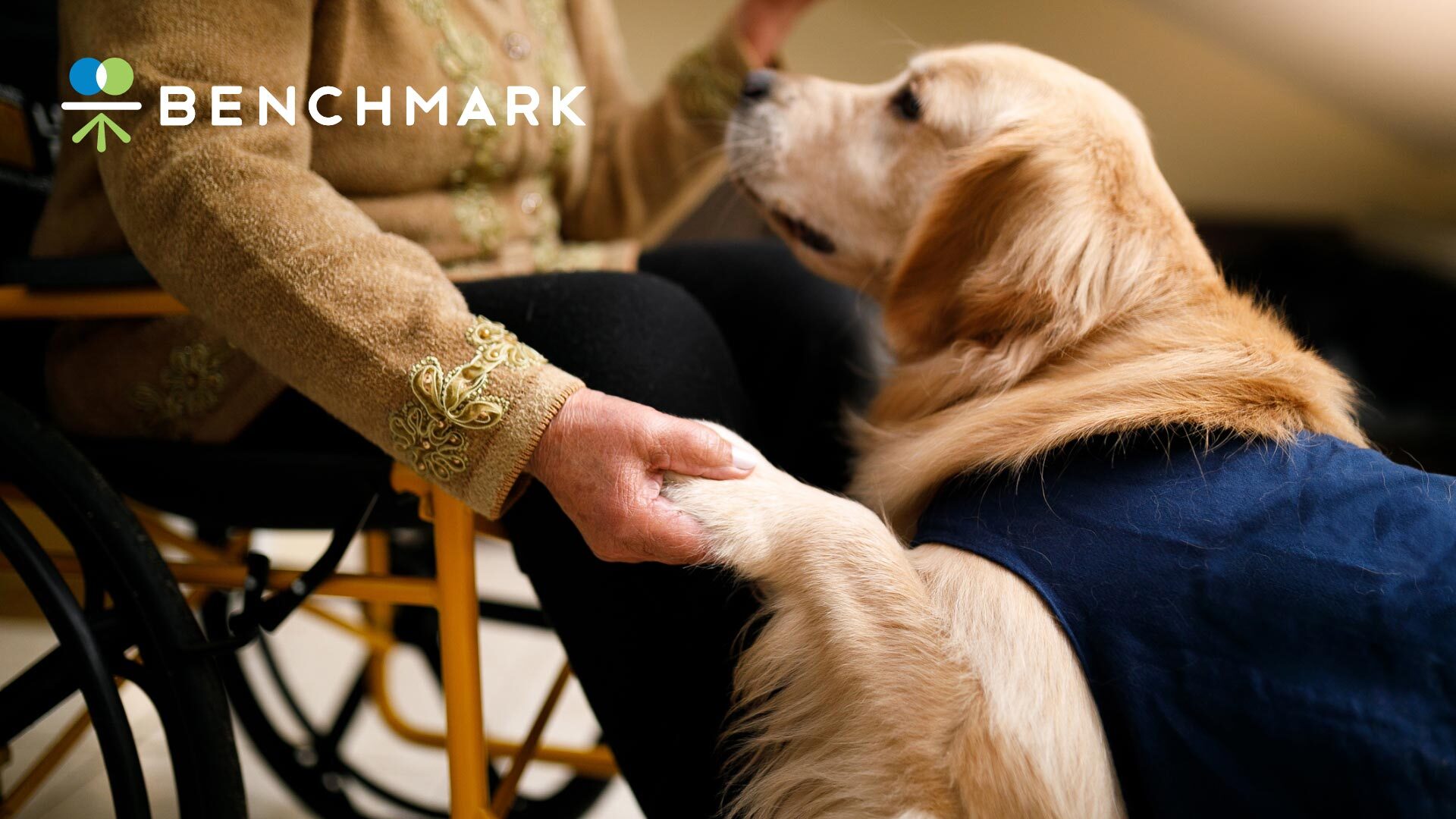 Why We Love and Use Pet Therapy | Benchmark Senior Living